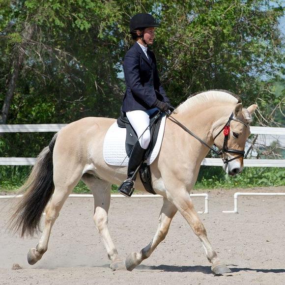 Meet your Posher, Lana - Picture 1 of 1